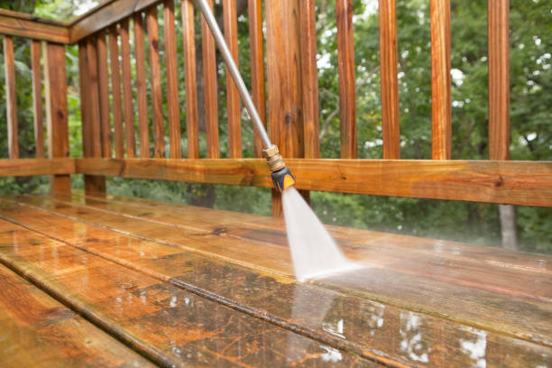 Best Fence Cleaning  in St Charles, IL